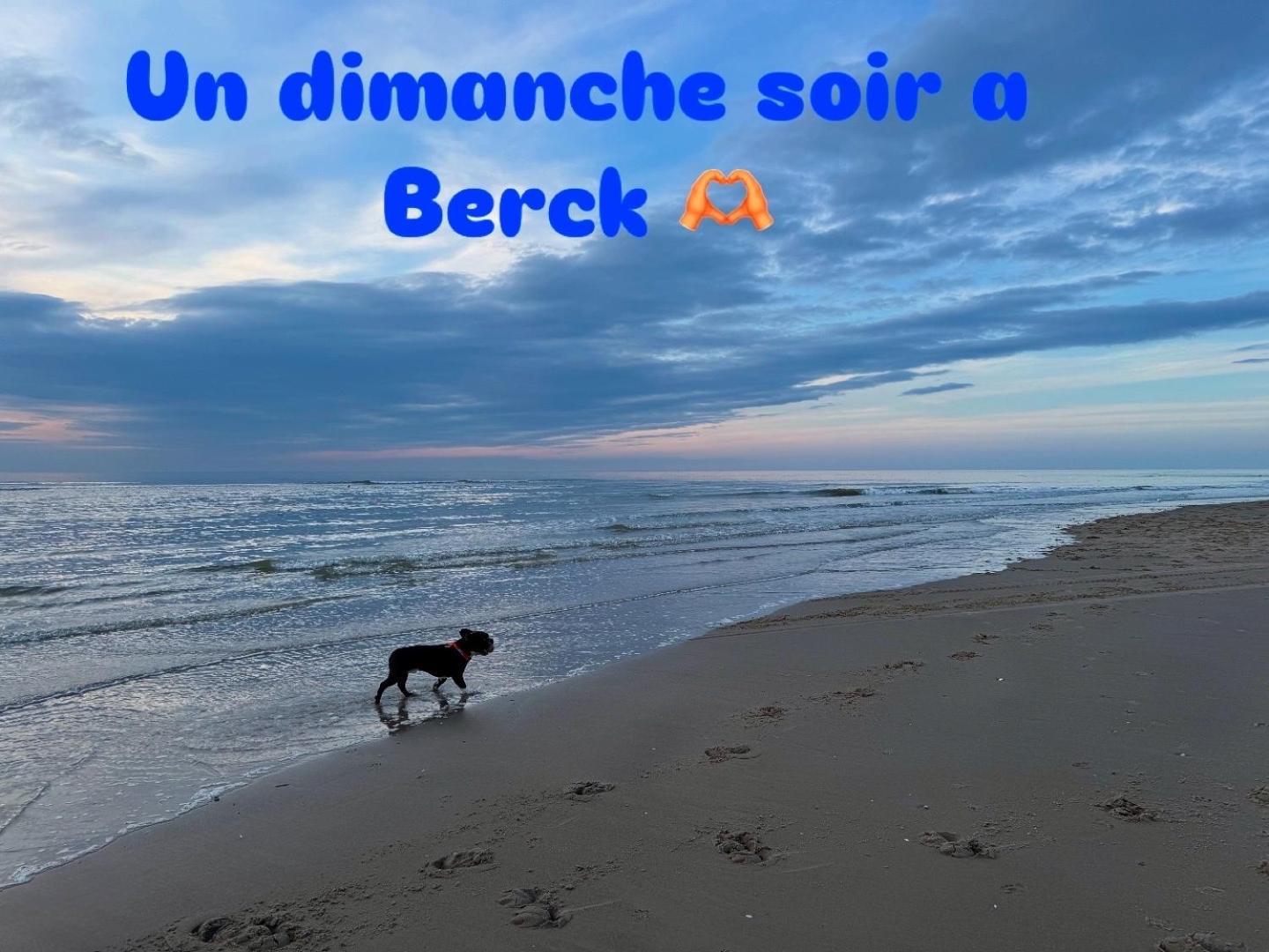 Le Paillette T2 400 M De La Plage Berck Exterior photo